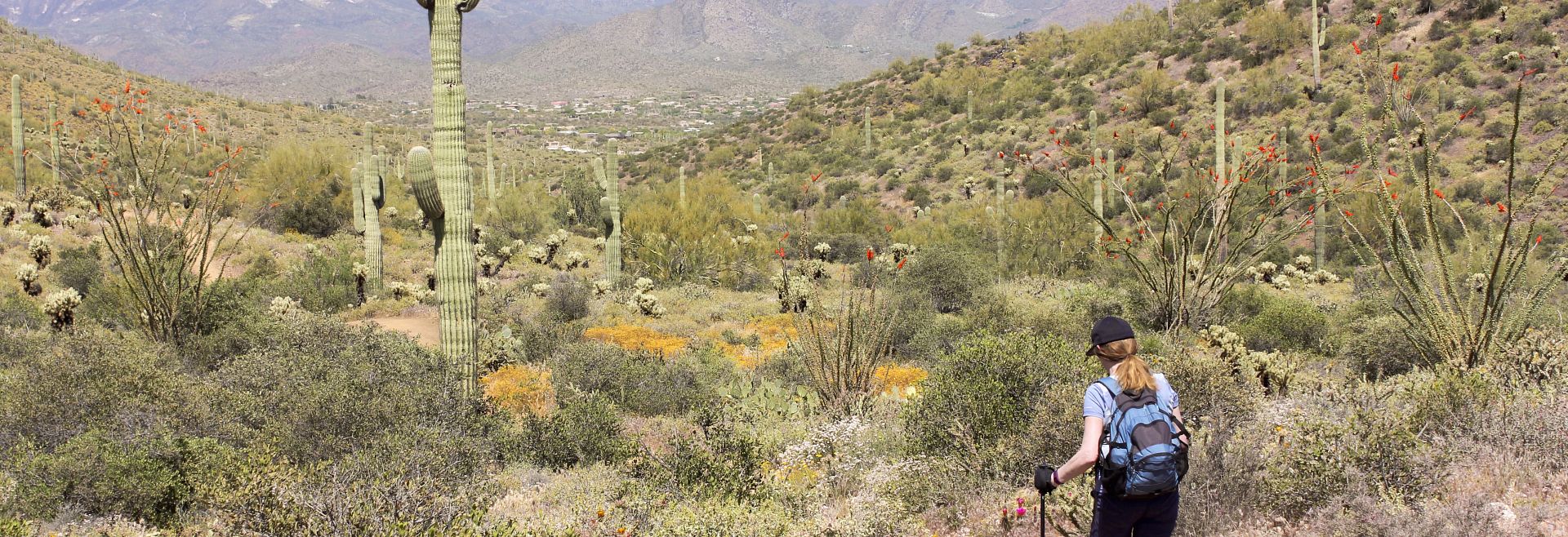 woman desert hike walk cactus