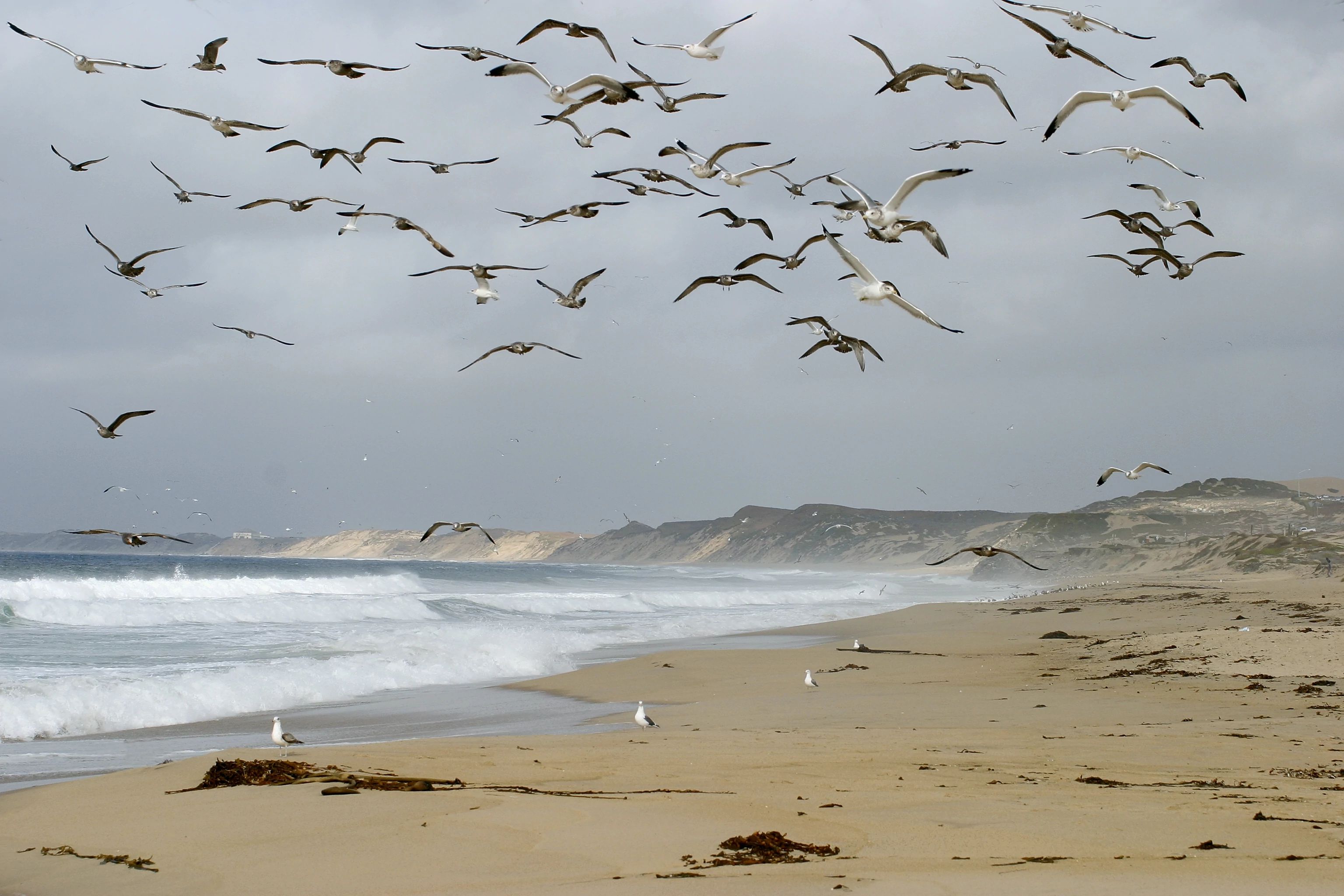 Beaches of Monterey