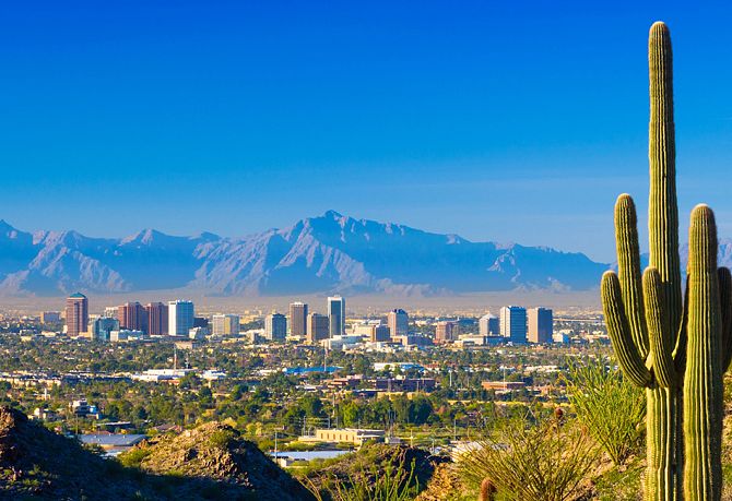 Downtown Phoenix in Background with Cactus in Foreground