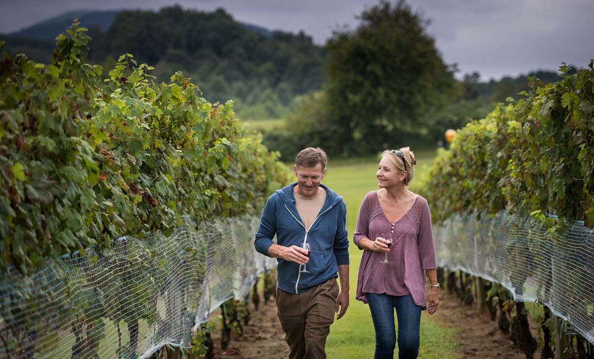 Couple walking in the vineyards