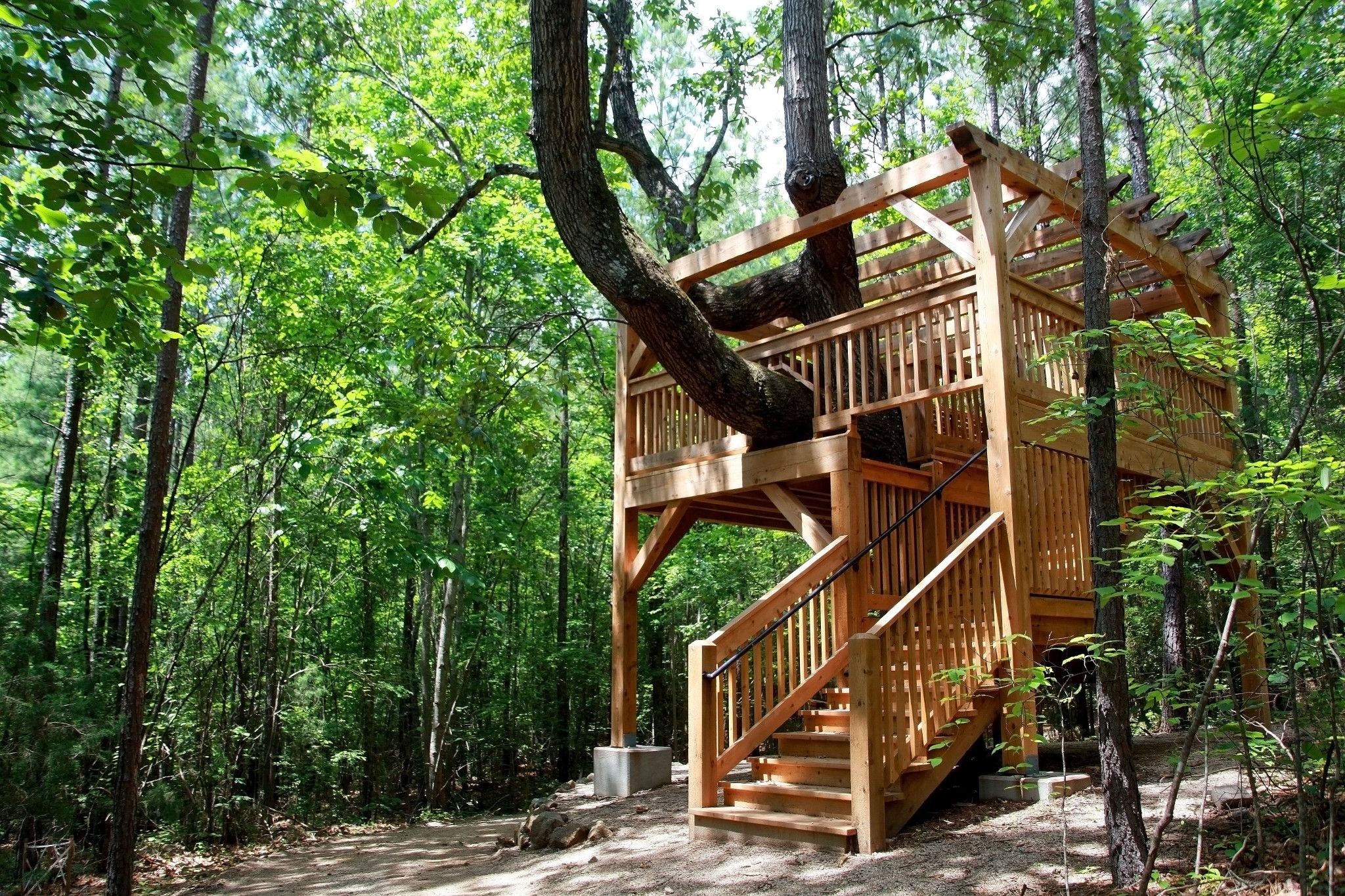 Treehouse within the Trails at Trilogy Lake Norman