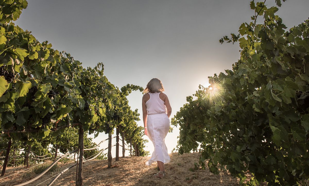 Lady walking in the vineyards